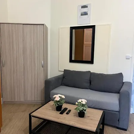 Apartament Spacieux Gambetta *